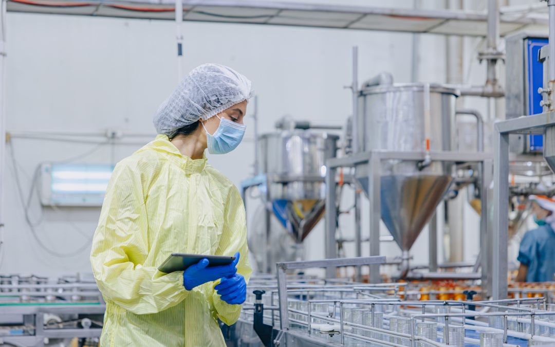 Bulk Material Handling in the Food Industry: Hygiene Requirements, Materials, and Solutions